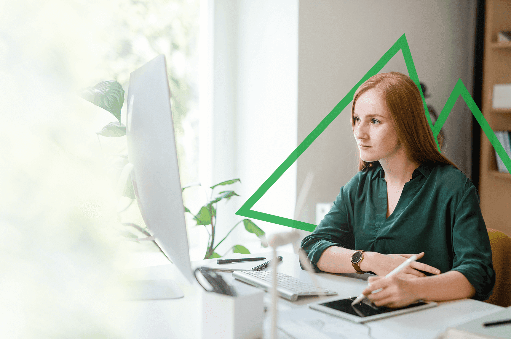 Compliance Consultant